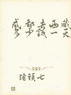 成都去西藏租车多少钱一天 成都去西藏租车多少钱一天