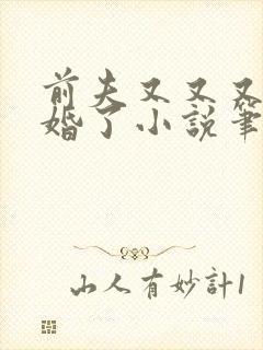 前夫又又又想复婚了小说笔趣阁
