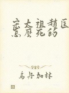 宋太祖赵匡胤是怎么死的