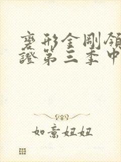 变形金刚领袖之证第三季中文版在线观看