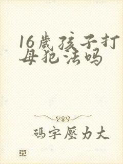 16岁孩子打父母犯法吗