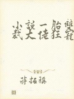 小说一胎双宝总裁大佬狂宠妻 小说一胎双宝总裁大佬狂宠妻