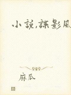 小说,谍影风云