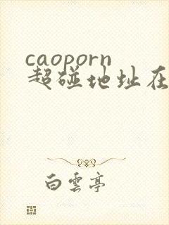 caoporn超碰地址在线