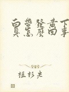 白带发黄下身恶臭怎么回事