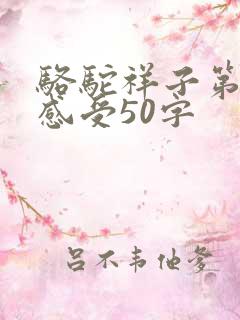 骆驼祥子第3章感受50字