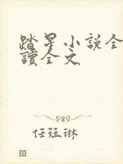 踏星小说全文阅读全文