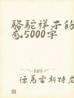 骆驼祥子的读后感5000字 骆驼祥子的读后感5000字