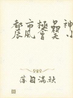 都市极品神医叶辰风会笑 小说