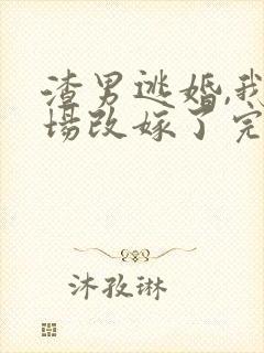 渣男逃婚,我当场改嫁了完本