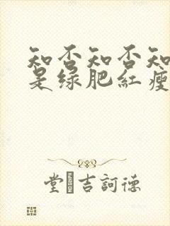 知否知否知否应是绿肥红瘦哪年拍的