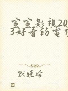 宣宣影视2023好看的电视剧