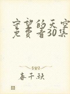 守望的天空全集免费看30集
