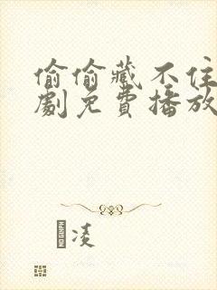 偷偷藏不住电视剧免费播放完整版
