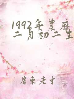 1992年农历二月初二生辰八字