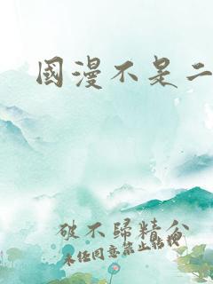 国漫不是二次元 国漫不是二次元