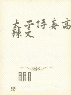 太子侍妾高h肉辣文