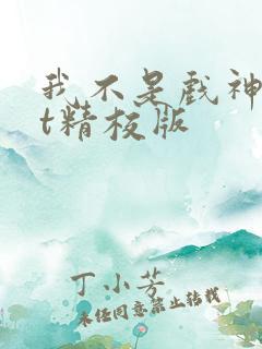 我不是戏神txt精校版