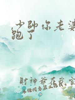 ,少帅你老婆又跑了