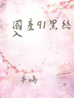 国产91黑丝后入