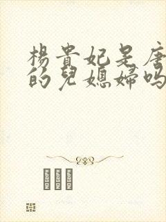 杨贵妃是唐玄宗的儿媳妇吗