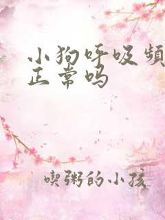 小狗呼吸频率快正常吗