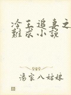 冷王追妻之医妃难求小说