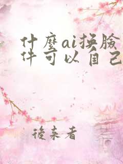 什么ai换脸软件可以自己导入视频