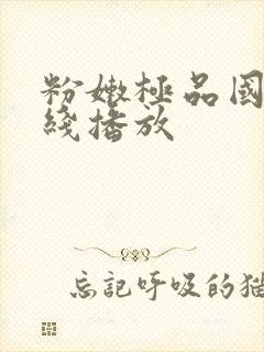 粉嫩极品国产在线播放