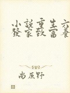小说重生六零:发家致富养崽崽