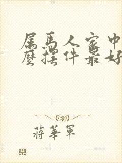 属马人家中摆什么摆件最好