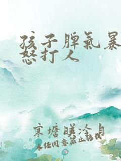 孩子脾气暴躁易怒打人