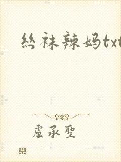 丝袜辣妈txt