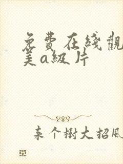 免费在线观看欧美a级片 免费在线观看欧美a级片