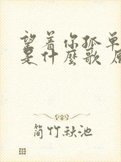 望着你孤单离去是什么歌 原唱
