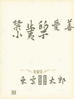 禁止的爱善良的小夷子