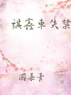 祺鑫车失禁