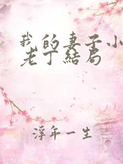 我的妻子小谨和老丁结局