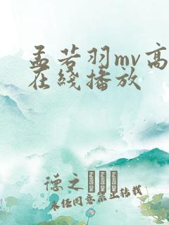 孟若羽mv高清在线播放