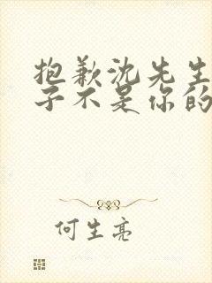 抱歉沈先生,孩子不是你的合集免费播放