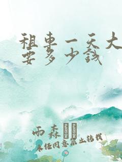 租车一天大概需要多少钱
