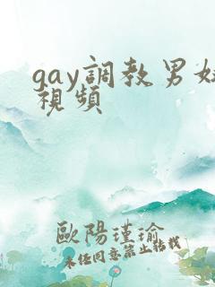 gay调教男奴视频