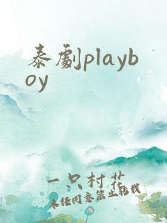 泰剧playboy
