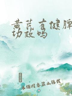 黄芪有健脾胃的功效吗