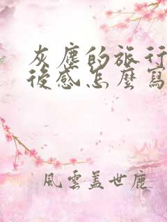灰尘的旅行的读后感怎么写四年级