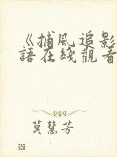 《捕风追影》国语在线观看 《捕风追影》国语在线观看