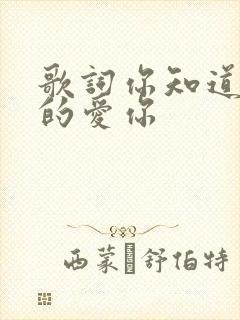 歌词你知道我真的爱你