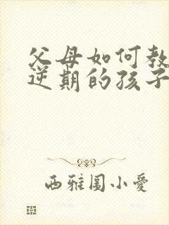 父母如何教育叛逆期的孩子