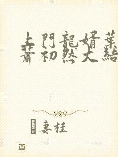 上门龙婿叶辰,萧初然大结局叶辰,萧初然章节