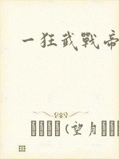 一狂武战帝